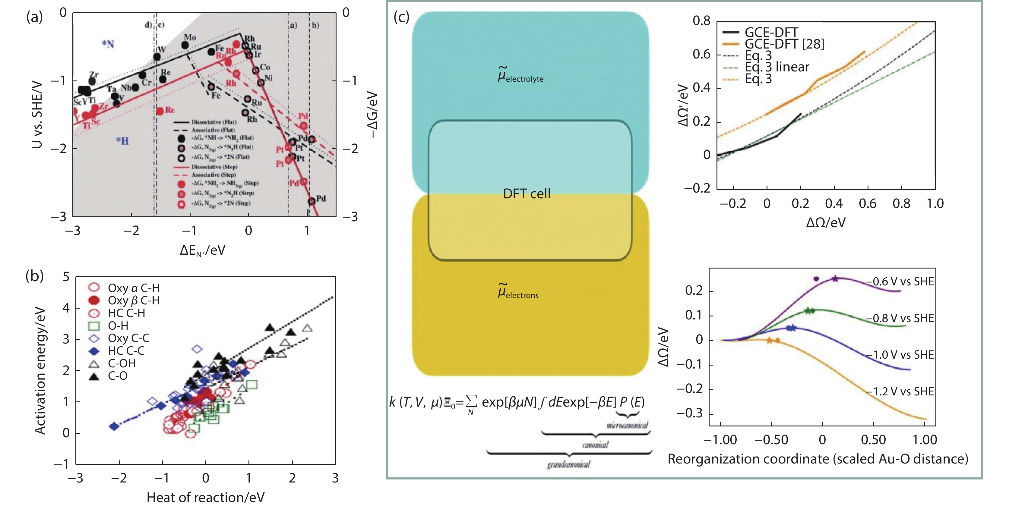 Microenvironment Optimization Towards Electrocatalytic Ammonia