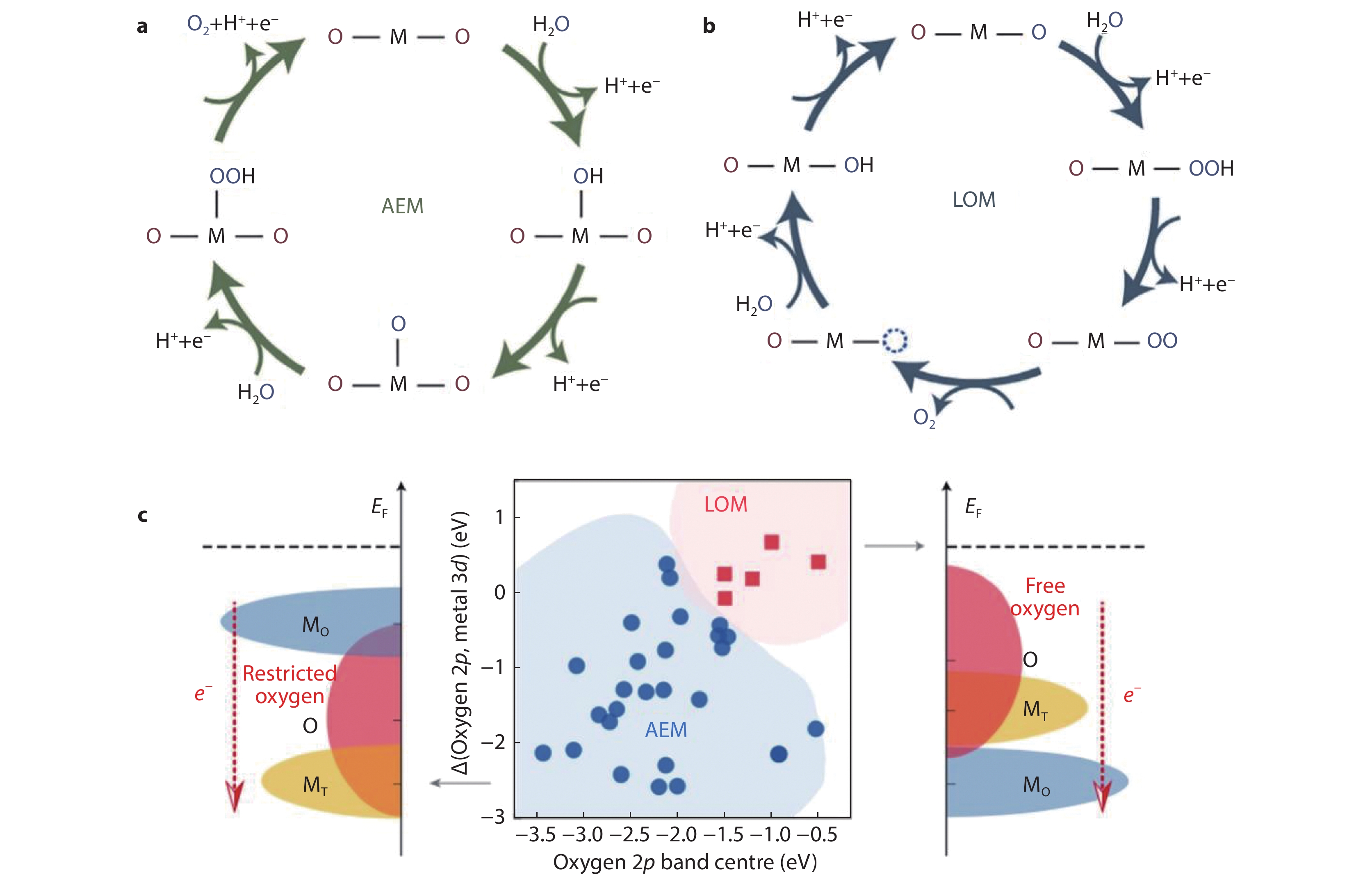 Mechanisms of oxygen evolution reaction in metal oxides: adsorbate ...